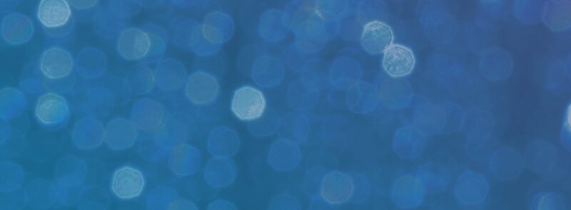 George Murphy & The Rising Sons – The Ultimate Session Tour 2026